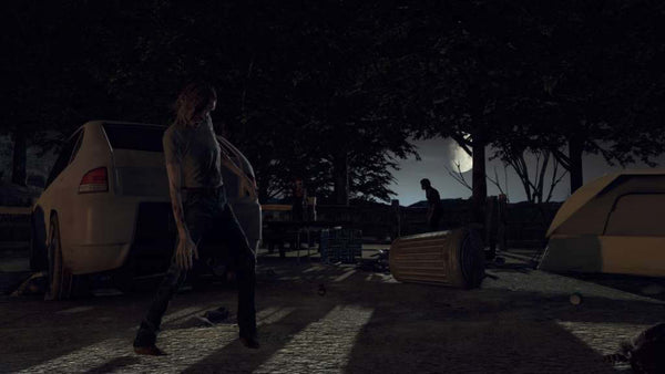 The Walking Dead: Survival Instinct Steam CD Key