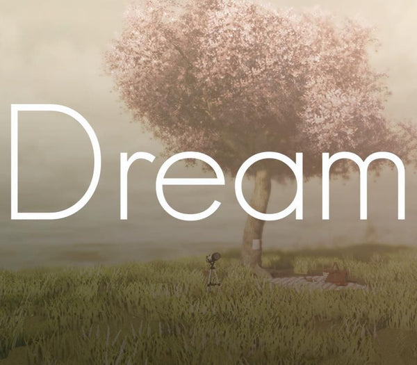 Dream Steam Gift