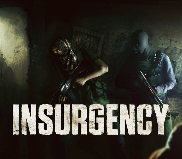 Insurgency PC Steam Gift