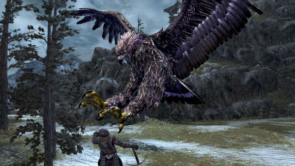 Lord of the Rings: War in the North Steam Gift