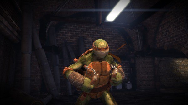 Teenage Mutant Ninja Turtles: Out of the Shadows Steam Gift