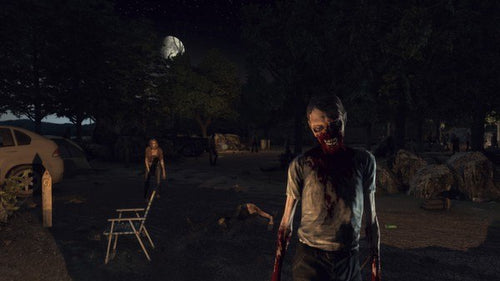 The Walking Dead: Survival Instinct + Walker Herd Survival Pack Steam CD Key