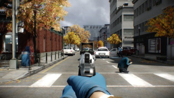 PAYDAY 2 - Gage Mod Courier DLC Steam CD Key