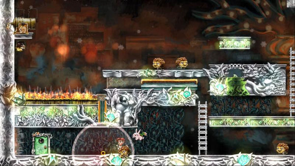 Braid Steam Gift