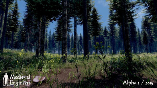 Medieval Engineers RU VPN Required Steam Gift