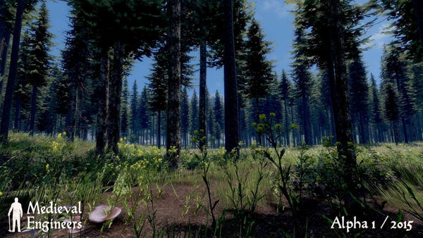 Medieval Engineers RU VPN Required Steam Gift