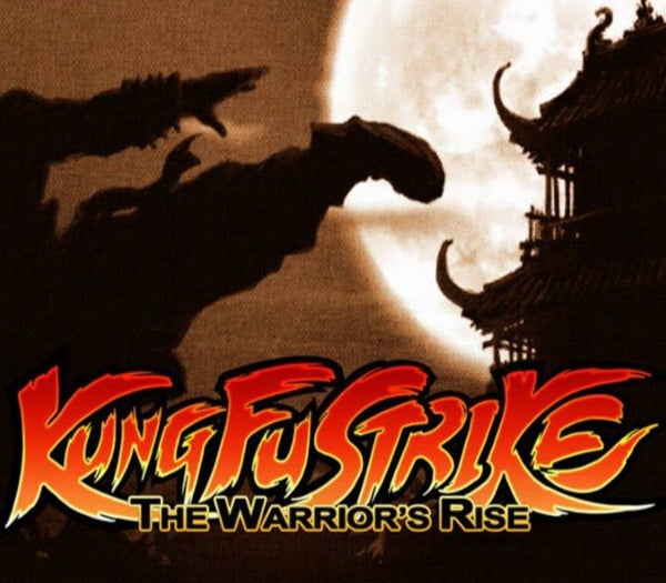 Kung Fu Strike - The Warrior's Rise + Master Level DLC PC Steam CD Key