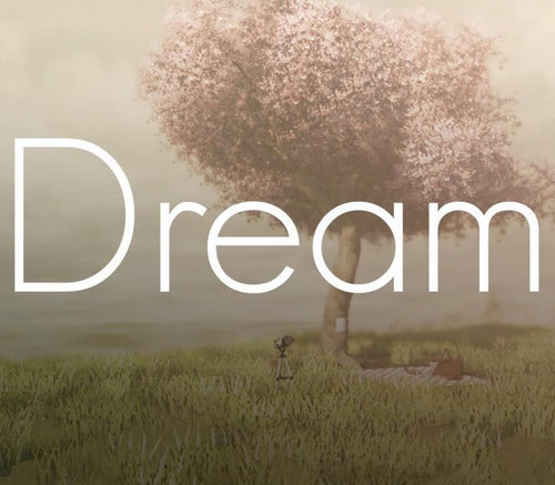 Dream Steam Gift