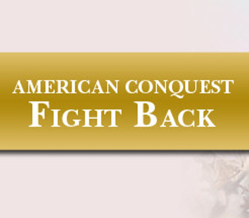 American Conquest: Fight Back PC Steam CD Key