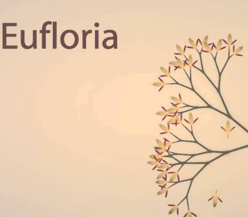 Eufloria Steam CD Key