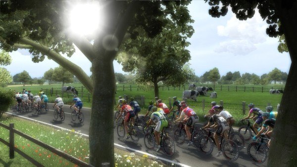 Pro Cycling Manager 2014 Steam GIft