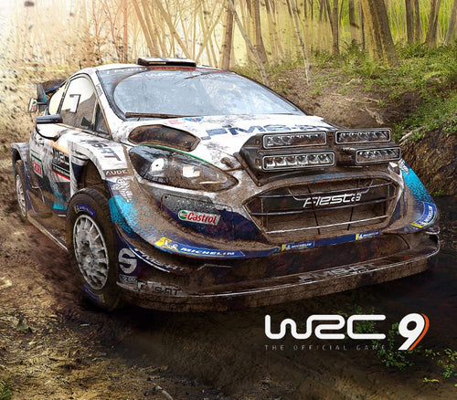 WRC 9 FIA World Rally Championship EU Epic Games CD Key